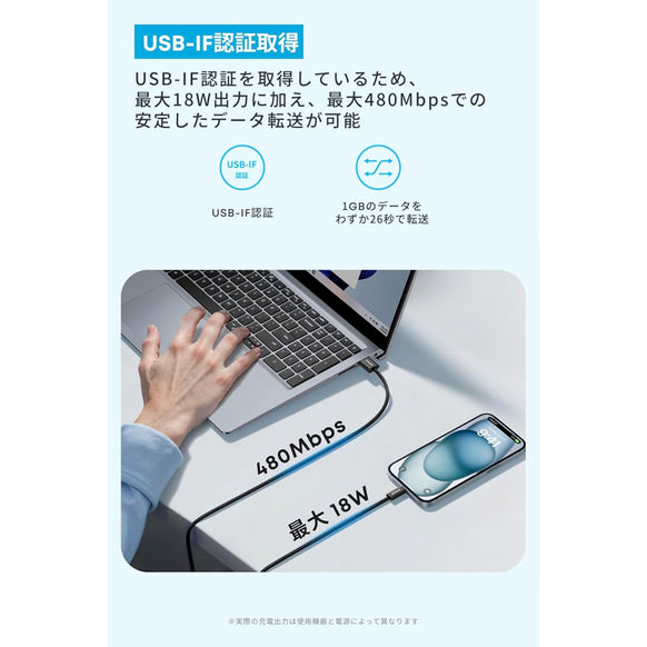 Anker Zolo USB-C & USB-A ケーブル