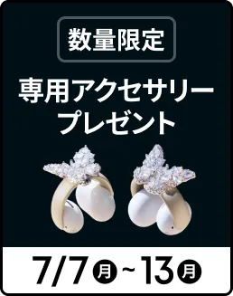 AeroClip 専用アクセサリープレゼント