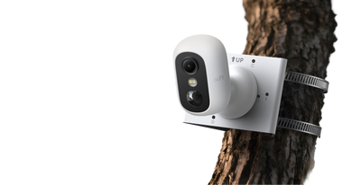 シャッターボックス