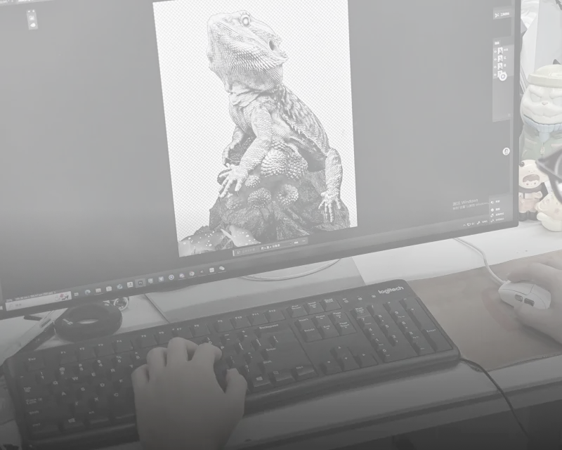 Software Knowledge Required