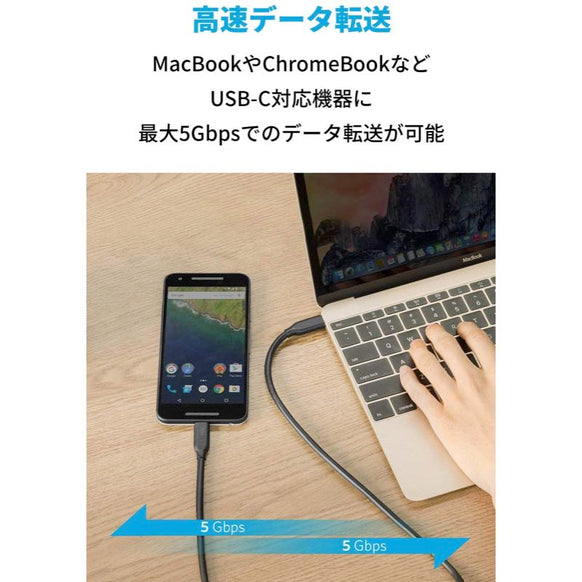 Anker PowerLine USB-C & USB-C ケーブル (USB3.0対応) 0.9m