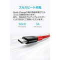 Anker PowerLine+ USB-C & USB-A ケーブル (USB2.0対応) 3.0m 2本セット